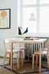 Eames House Bird